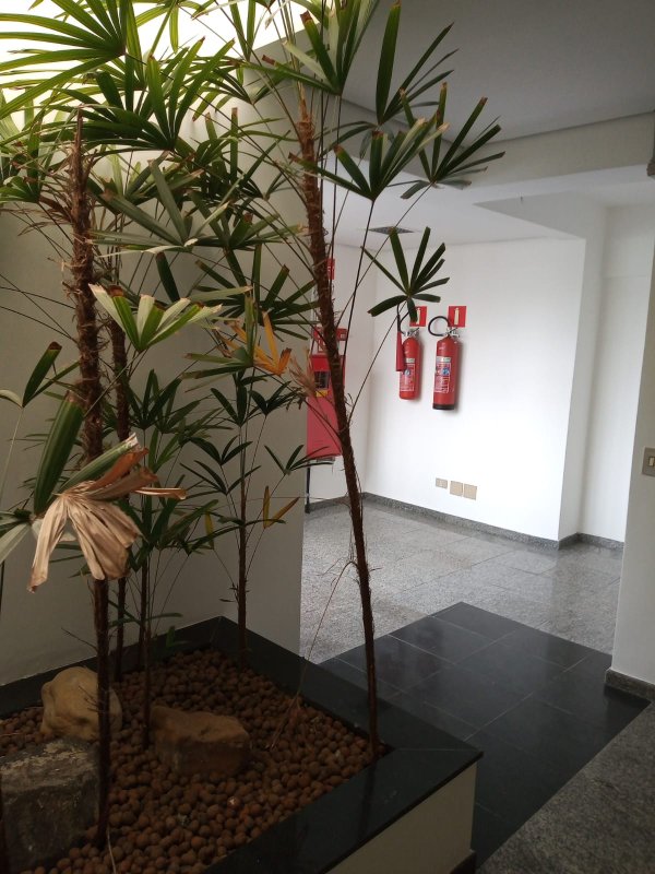 Prédio Comercial à venda no bairro Planalto Paulista em São Paulo/SP, 40 vagas | 1250m² | Oportunidade